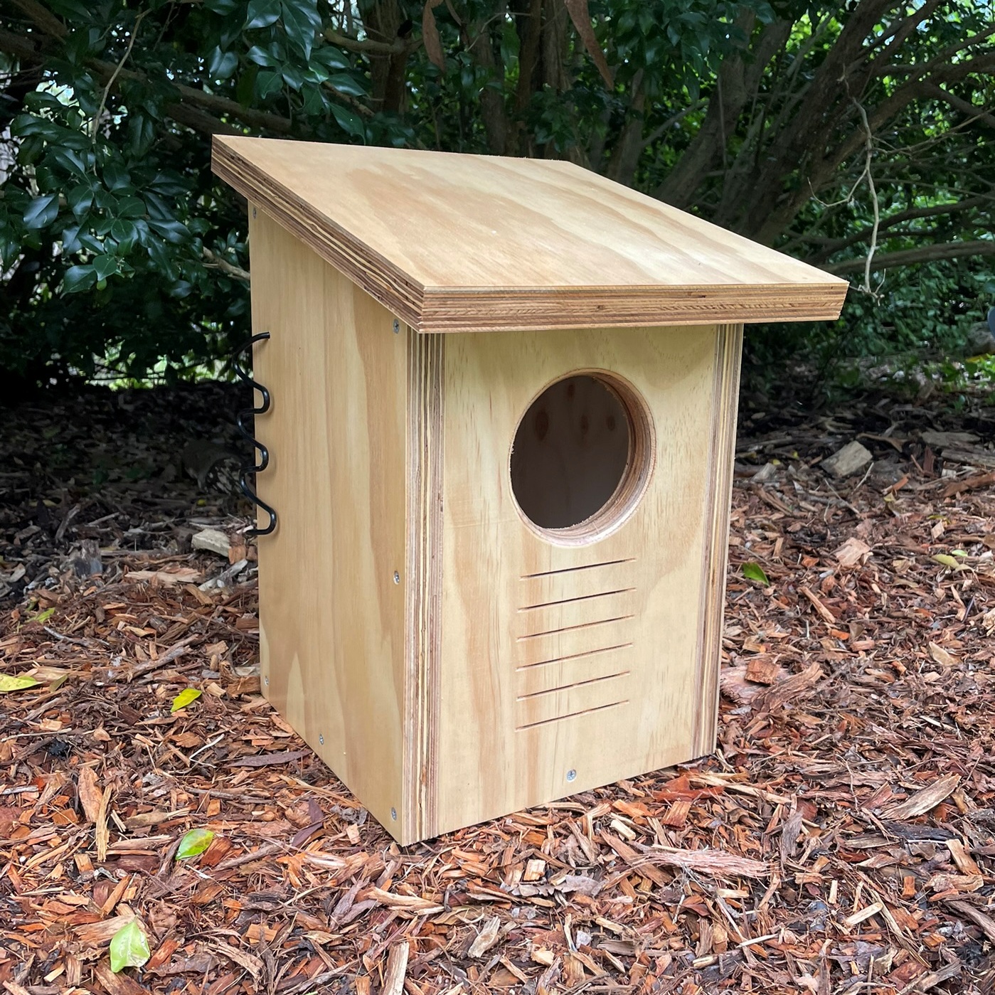 Brushtail Possum Box Varnished Habitat Nest Wildlife Nesting Fauna