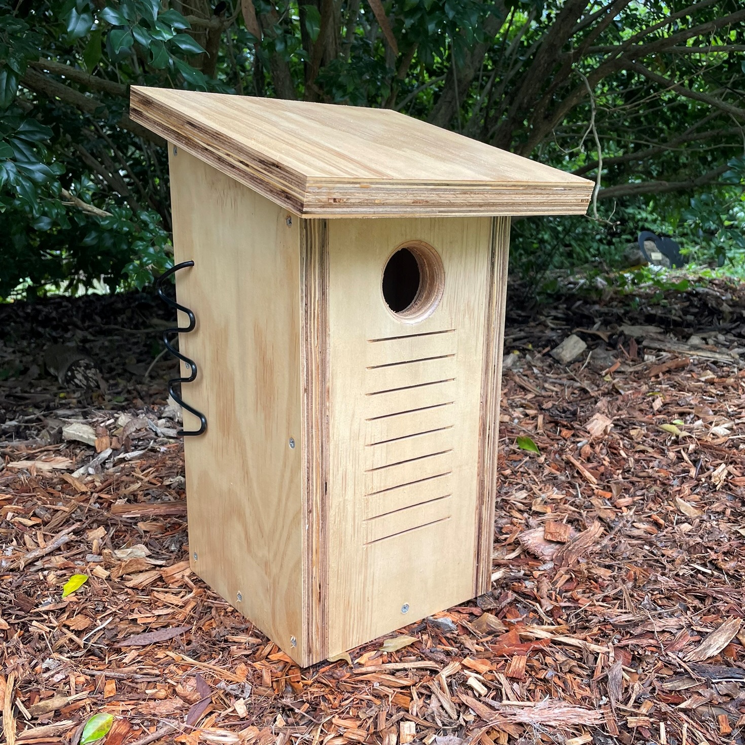 Squirrel Glider Nesting Box and Sugar Glider Nest Box Clear Coat
