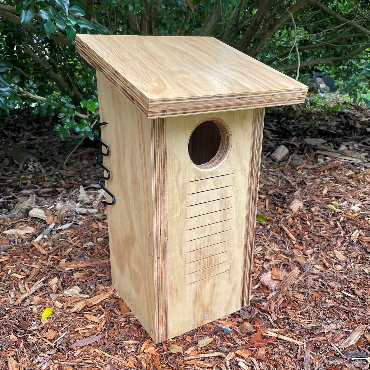 Rosella Large Parrot Nest Box Dollarbird Nesting Box Clear Coat